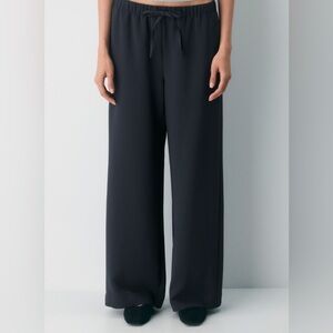 Black Aritzia Wilfred Lodge Pants - Crepette
